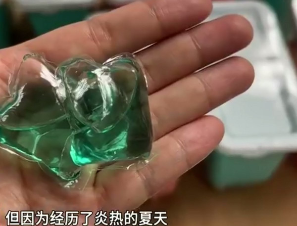 （圖片來源︰微博@粵TV）