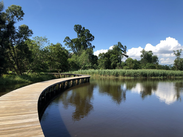 天水圍濕地公園淪陷！來回4小時只為睇落羽松：網民直擊超長人龍排隊進場　未夠4點已截龍