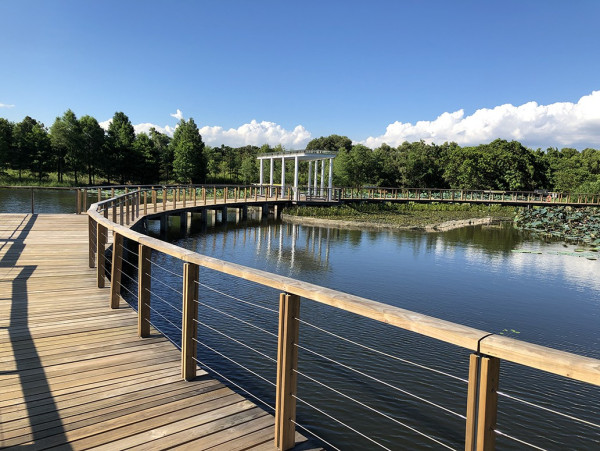 天水圍濕地公園淪陷！來回4小時只為睇落羽松：網民直擊超長人龍排隊進場　未夠4點已截龍