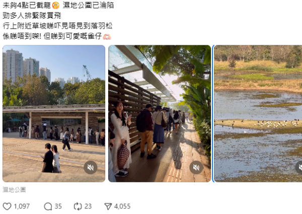 天水圍濕地公園淪陷！來回4小時只為睇落羽松：網民直擊超長人龍排隊進場　未夠4點已截龍