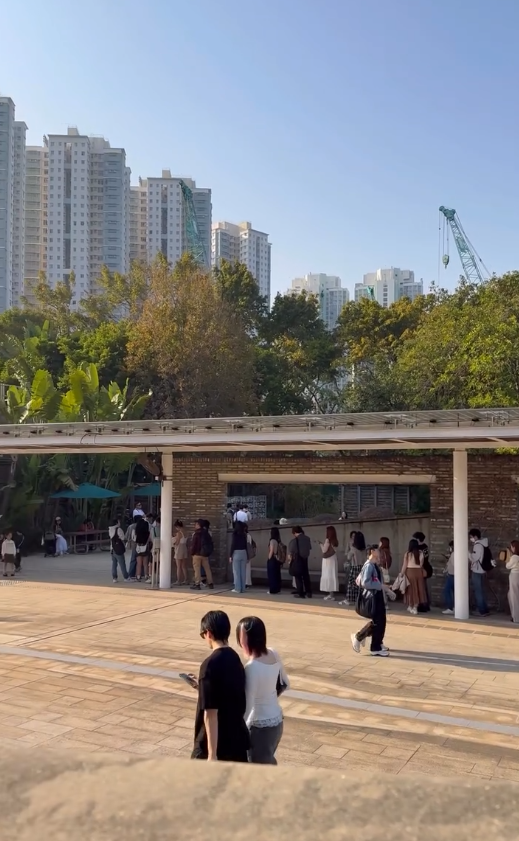 天水圍濕地公園淪陷！來回4小時只為睇落羽松：網民直擊超長人龍排隊進場　未夠4點已截龍
