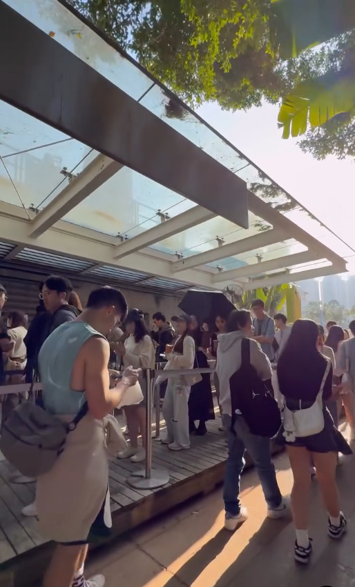 全港5大落羽松攻略2026！濕地公園排4小時？中大隱世秘境、流水響「天空之鏡」交通懶人包