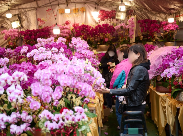 2026年宵花市懶人包！全港14大花市2.11起開鑼　維園設逾400攤位規模最大！附地點/交通/攤位清單