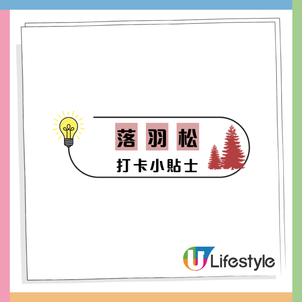 天水圍濕地公園淪陷！來回4小時只為睇落羽松：網民直擊超長人龍排隊進場　未夠4點已截龍