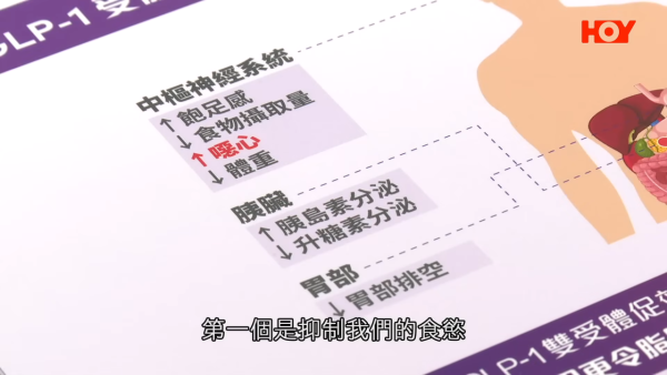 瘦瘦針｜世衛首度「有條件推薦」使用瘦瘦針！6類人不適用？醫生拆解5大副作用 提醒停藥易復胖