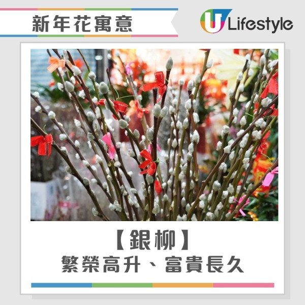 2026開運懶人包︱幾時貼揮春最旺？年花放對1方位財運/姻緣運翻倍！