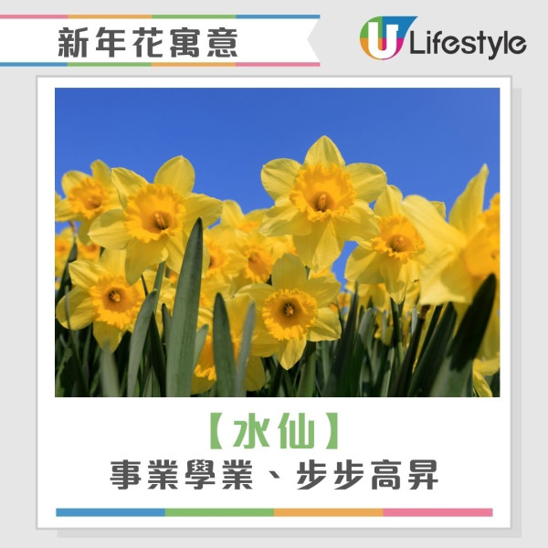 2026開運懶人包︱幾時貼揮春最旺？年花放對1方位財運/姻緣運翻倍！