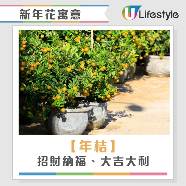 2026開運懶人包︱幾時貼揮春最旺？年花放對1方位財運/姻緣運翻倍！