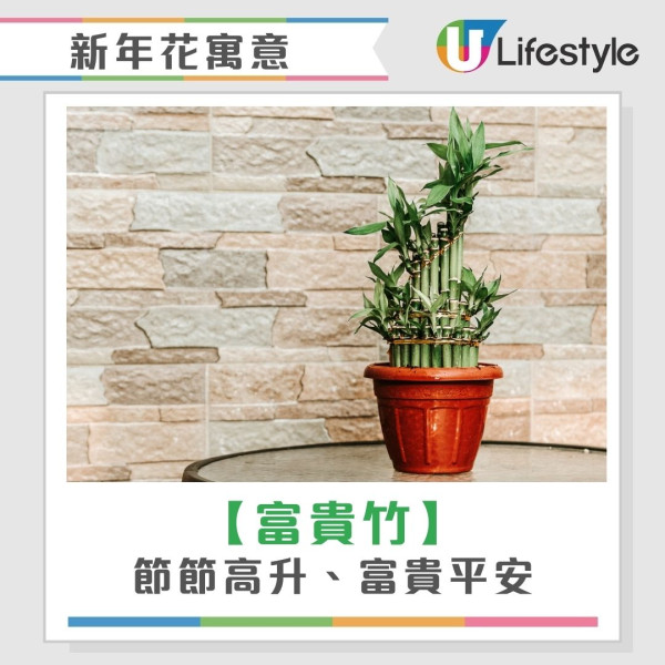 2026開運懶人包︱幾時貼揮春最旺？年花放對1方位財運/姻緣運翻倍！