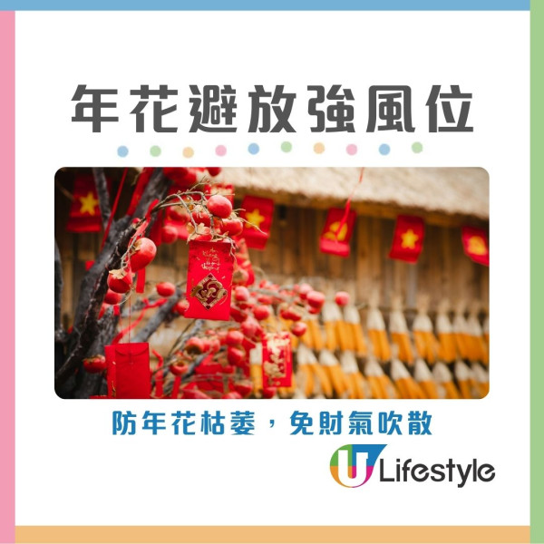 2026開運懶人包︱幾時貼揮春最旺？年花放對1方位財運/姻緣運翻倍！