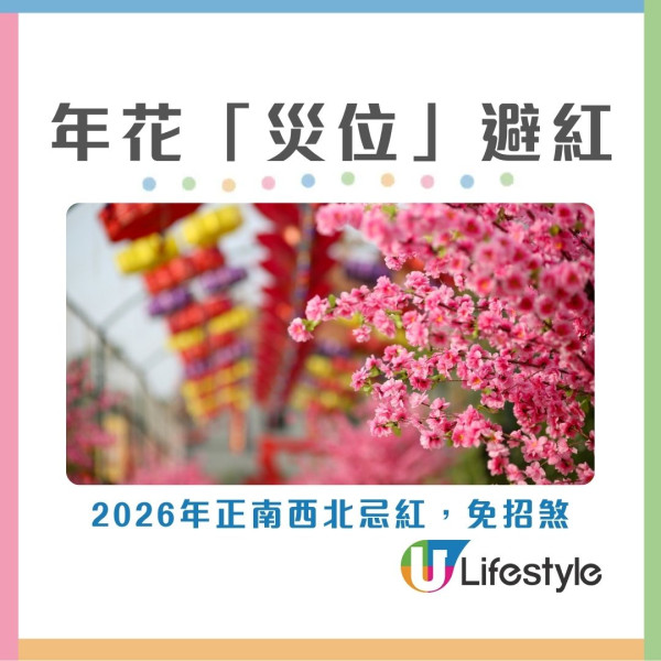 2026開運懶人包︱幾時貼揮春最旺？年花放對1方位財運/姻緣運翻倍！