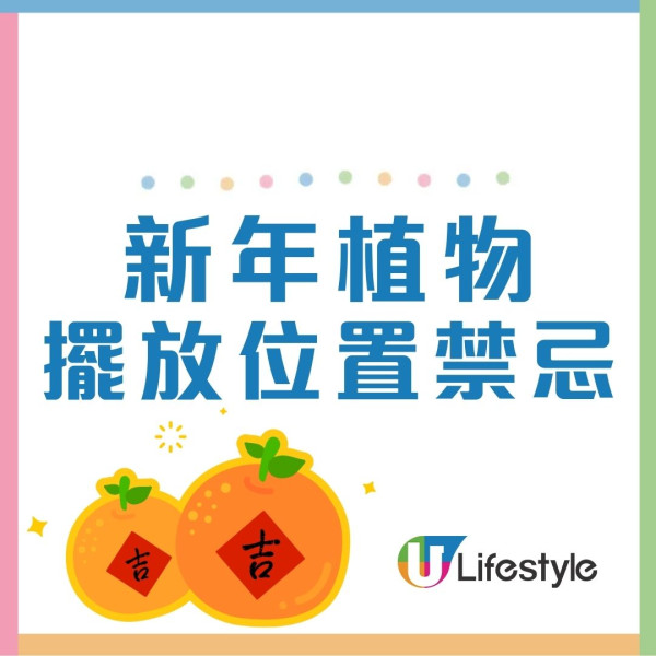 2026開運懶人包︱幾時貼揮春最旺？年花放對1方位財運/姻緣運翻倍！