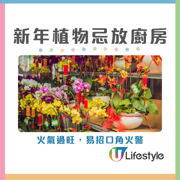 2026開運懶人包︱幾時貼揮春最旺？年花放對1方位財運/姻緣運翻倍！