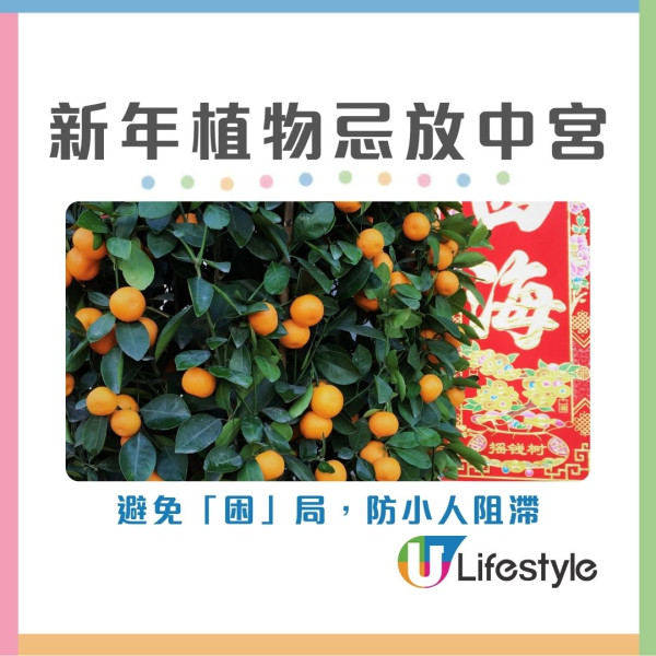 2026開運懶人包︱幾時貼揮春最旺？年花放對1方位財運/姻緣運翻倍！