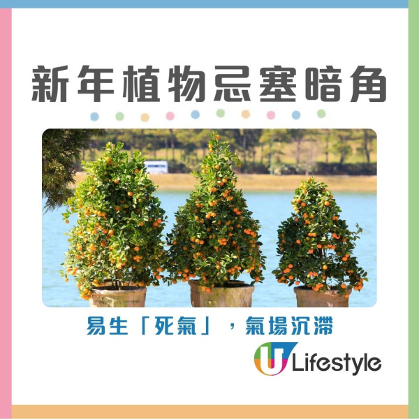 2026開運懶人包︱幾時貼揮春最旺？年花放對1方位財運/姻緣運翻倍！