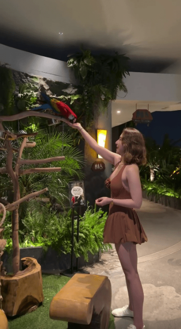 何超雲孖新歡鬍鬚男蜜遊泰國 一親暱舉動暗示新戀情？與消防員未婚夫疑斷3年情