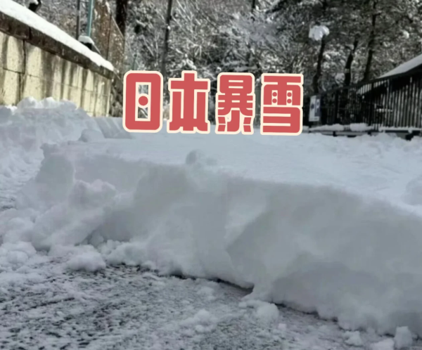 照片來源:小紅書@涉外日本年金商务 照片來源:小紅書@涉外日本年金商务