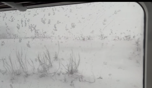 照片來源:小紅書@洋宝儿在东京 照片來源:小紅書@洋宝儿在东京