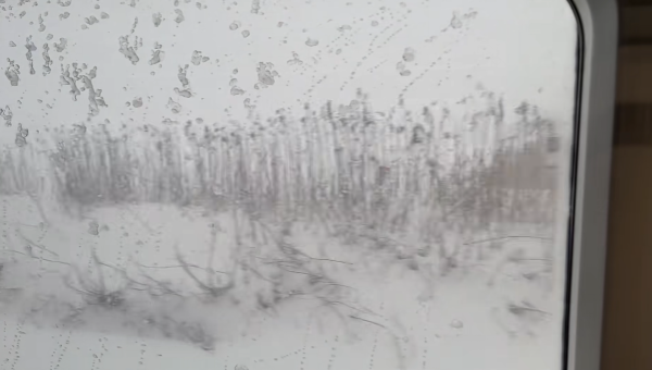 照片來源:小紅書@洋宝儿在东京 照片來源:小紅書@洋宝儿在东京