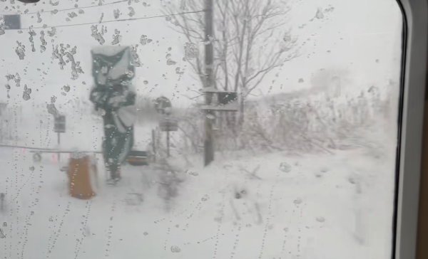 照片來源:小紅書@洋宝儿在东京 照片來源:小紅書@洋宝儿在东京