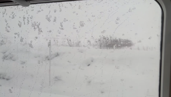 照片來源:小紅書@洋宝儿在东京 照片來源:小紅書@洋宝儿在东京