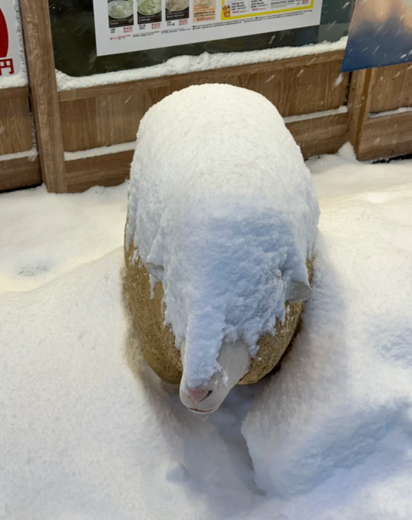 照片來源:小紅書@Elena_dcy_ 照片來源:小紅書@Elena_dcy_