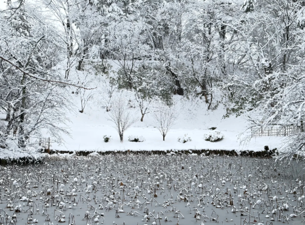 照片來源:小紅書@祿ye:P 照片來源:小紅書@祿ye:P