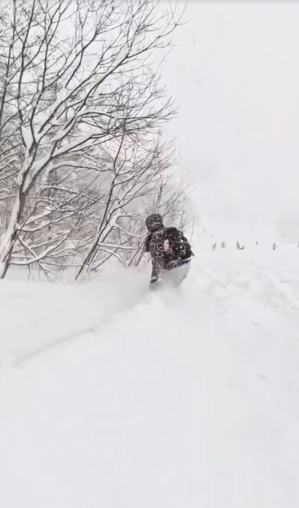 照片來源:小紅書@老谷仓农场的薇薇安 照片來源:小紅書@老谷仓农场的薇薇安