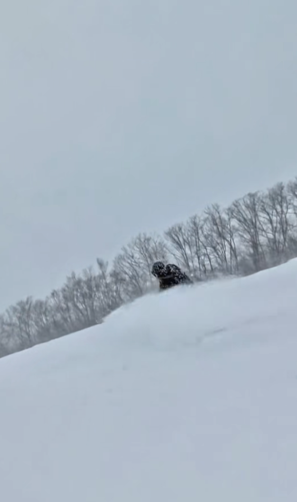 照片來源:小紅書@老谷仓农场的薇薇安 照片來源:小紅書@老谷仓农场的薇薇安