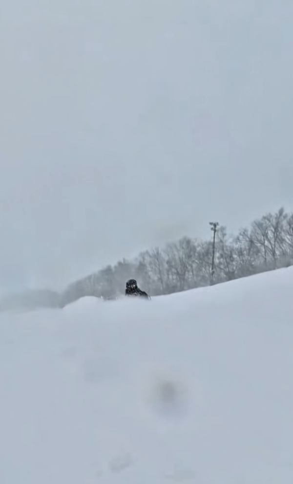 照片來源:小紅書@老谷仓农场的薇薇安 照片來源:小紅書@老谷仓农场的薇薇安