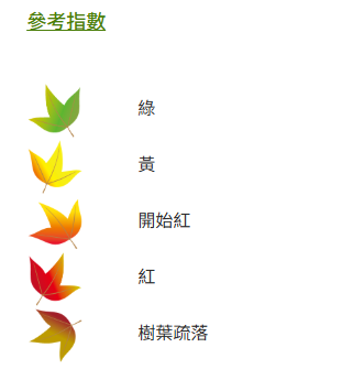 唔使迫濕地公園！中大落羽松變紅超靚 ！絕美倒影如「隱世秘境」港鐵直達附登記須知