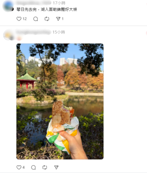 唔使迫濕地公園！中大落羽松變紅超靚 ！絕美倒影如「隱世秘境」港鐵直達附登記須知