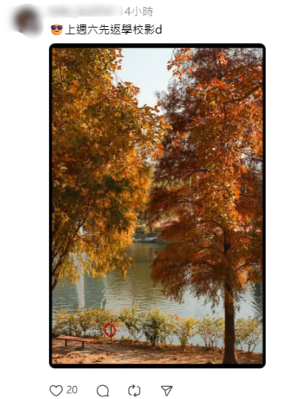 唔使迫濕地公園！中大落羽松變紅超靚 ！絕美倒影如「隱世秘境」港鐵直達附登記須知