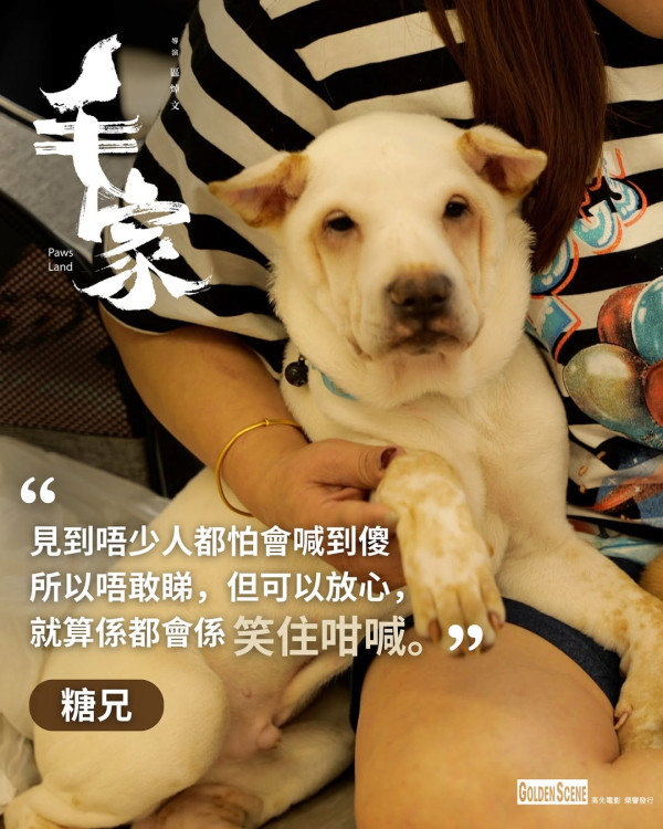 2025香港電影評論學會大獎得獎名單公佈！古天樂廖子妤首封影帝影后《私家偵探》成最大贏家