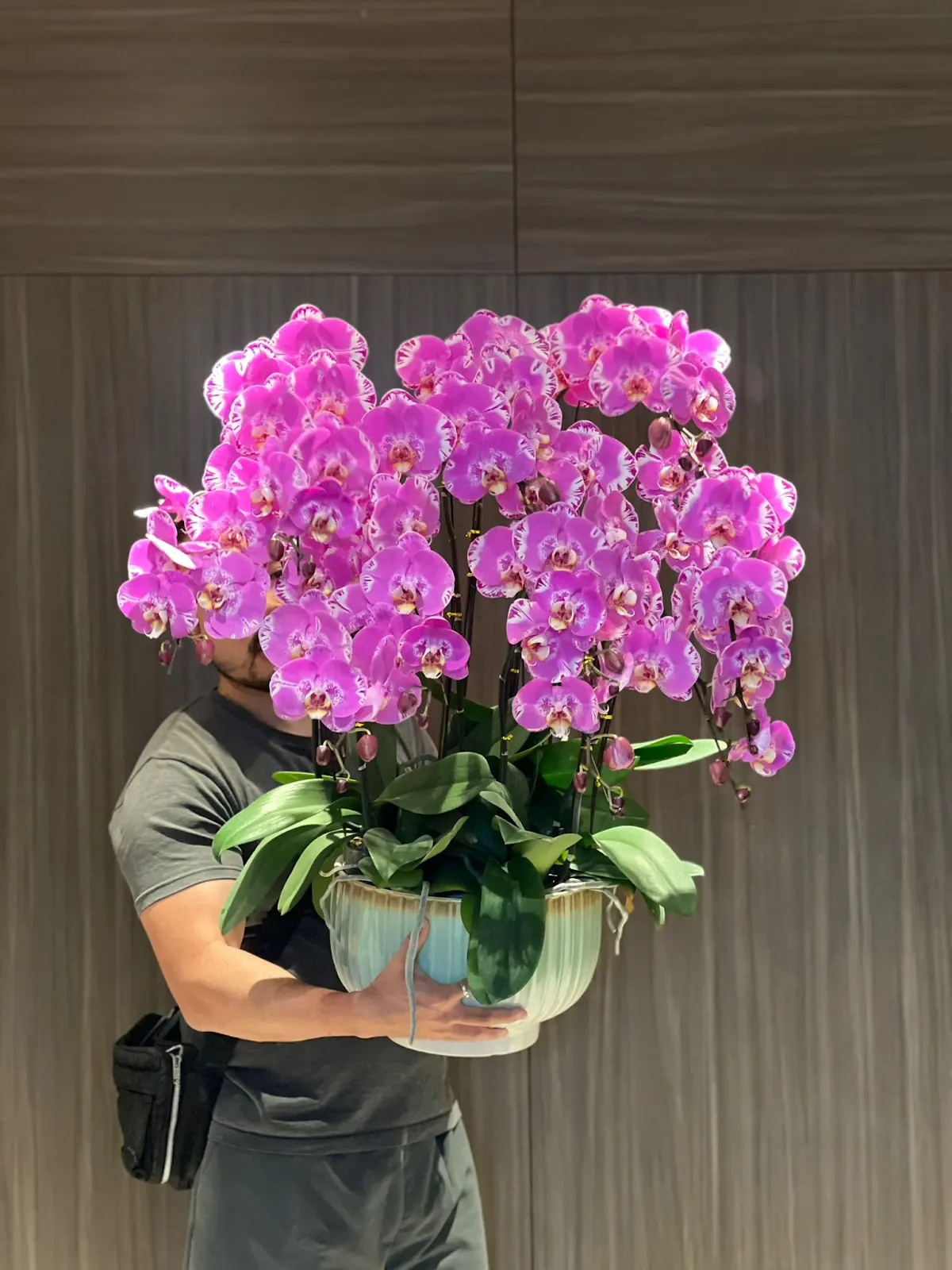 圖片來源：YOHO系商場