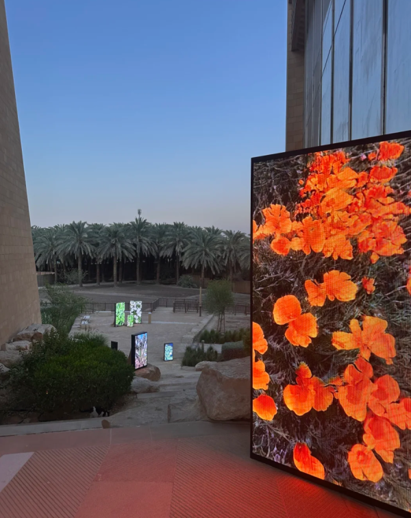 照片來源:小紅書@HA即刻出发 照片來源:小紅書@HA即刻出发