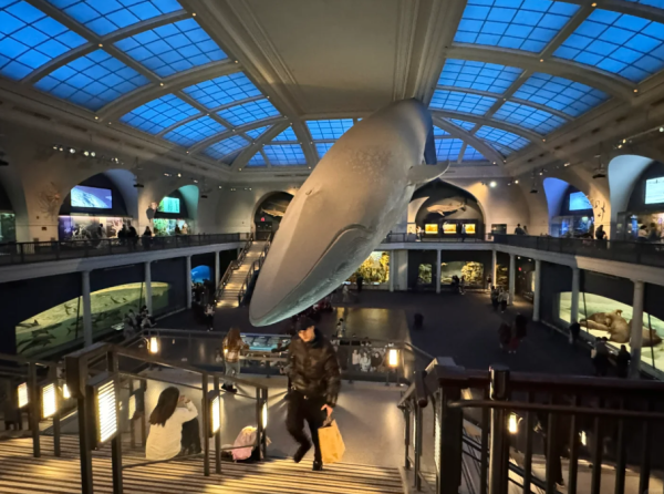 照片來源:小紅書@妮妮- 照片來源:小紅書@妮妮-