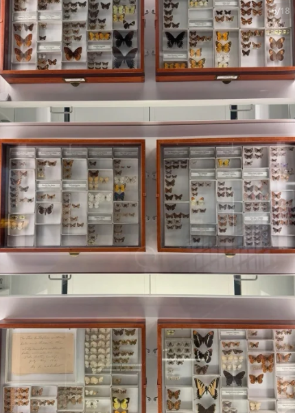 照片來源:小紅書@妮妮- 照片來源:小紅書@妮妮-