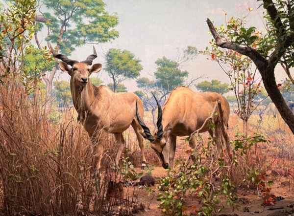 照片來源:小紅書@妮妮- 照片來源:小紅書@妮妮-