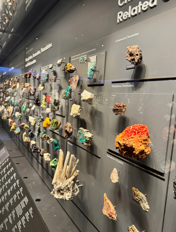 照片來源:小紅書@人生不能没有毛豆 照片來源:小紅書@人生不能没有毛豆