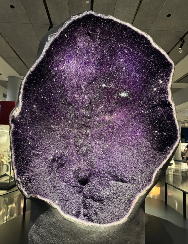 照片來源:小紅書@人生不能没有毛豆 照片來源:小紅書@人生不能没有毛豆