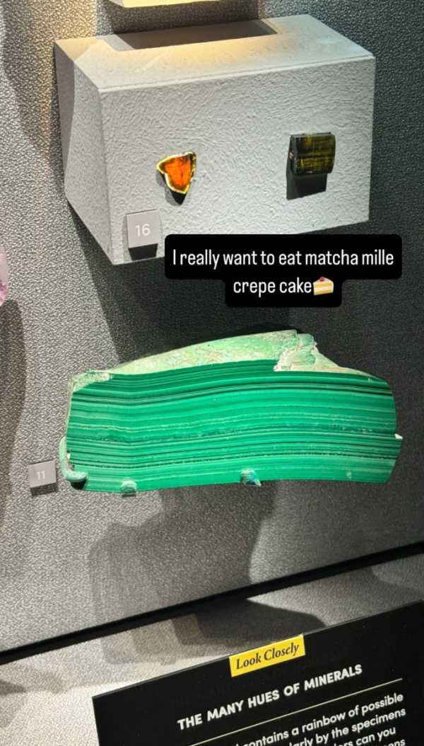 照片來源:小紅書@人生不能没有毛豆 照片來源:小紅書@人生不能没有毛豆