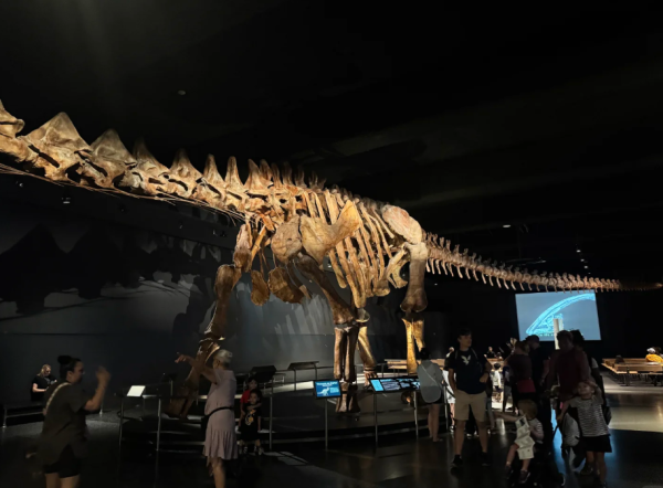 照片來源:小紅書@人生不能没有毛豆 照片來源:小紅書@人生不能没有毛豆