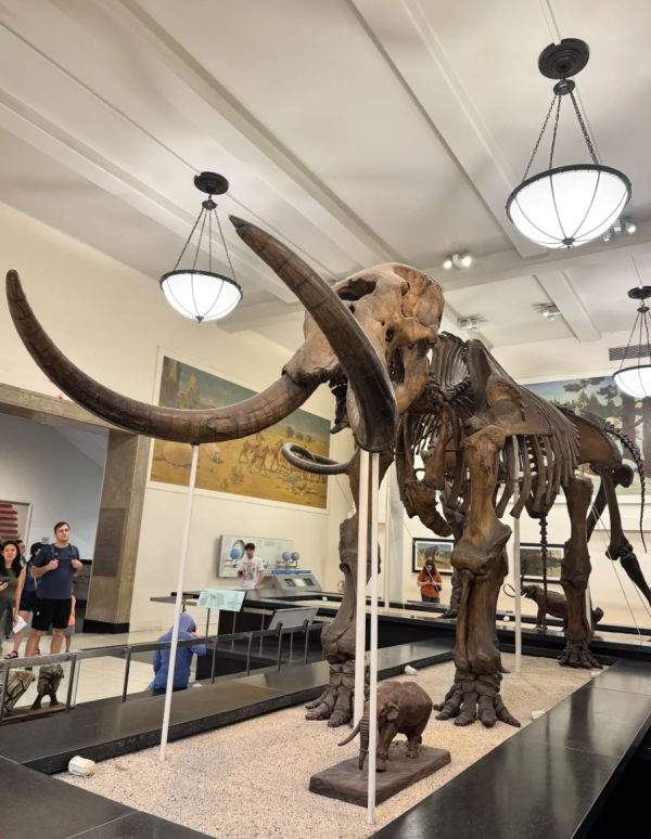 照片來源:小紅書@人生不能没有毛豆 照片來源:小紅書@人生不能没有毛豆