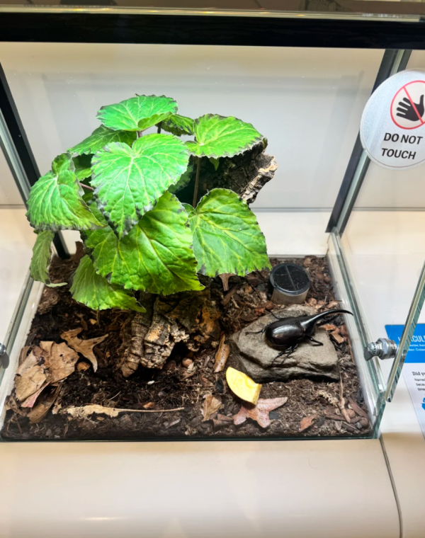 照片來源:小紅書@人生不能没有毛豆 照片來源:小紅書@人生不能没有毛豆