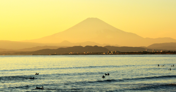 【日本貓島】貓奴朝聖地圖不止田代島！日本逾10大貓島必去江之島/福岡相島 