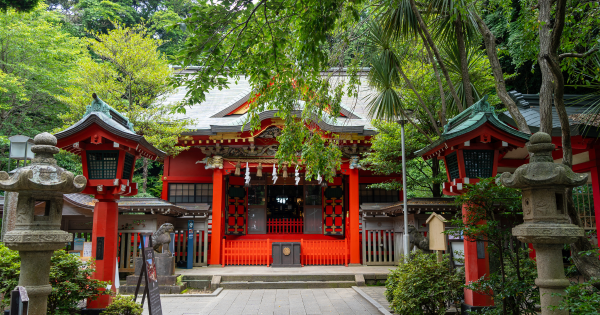 【日本貓島】貓奴朝聖地圖不止田代島！日本逾10大貓島必去江之島/福岡相島 