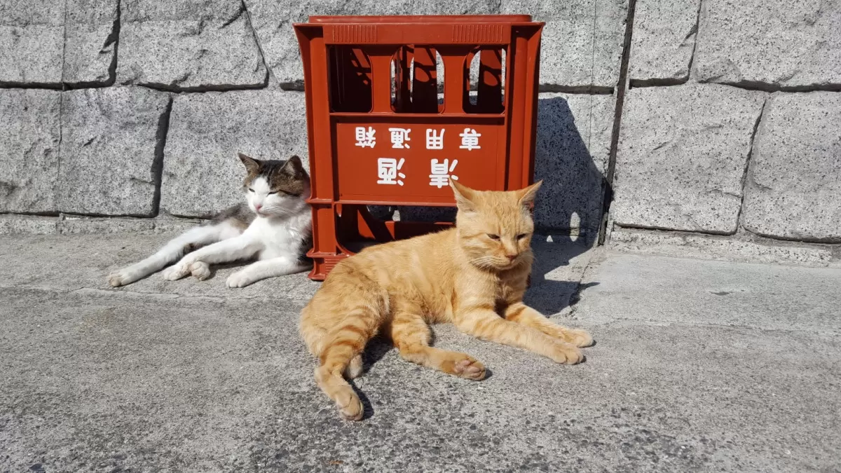 圖片來源：Okayama Prefecture Tourism Federation