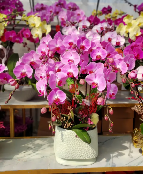 YOHO MALL「SNOOPY期間限定店+馬上開運新春市集」（相片由主辦單位提供）