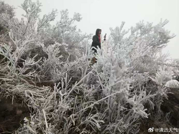 圖片來源：清遠天氣